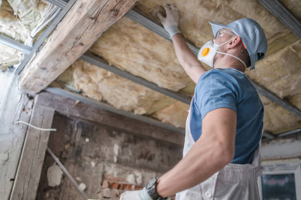 Best Eco-Friendly Insulation in Arcanum, OH